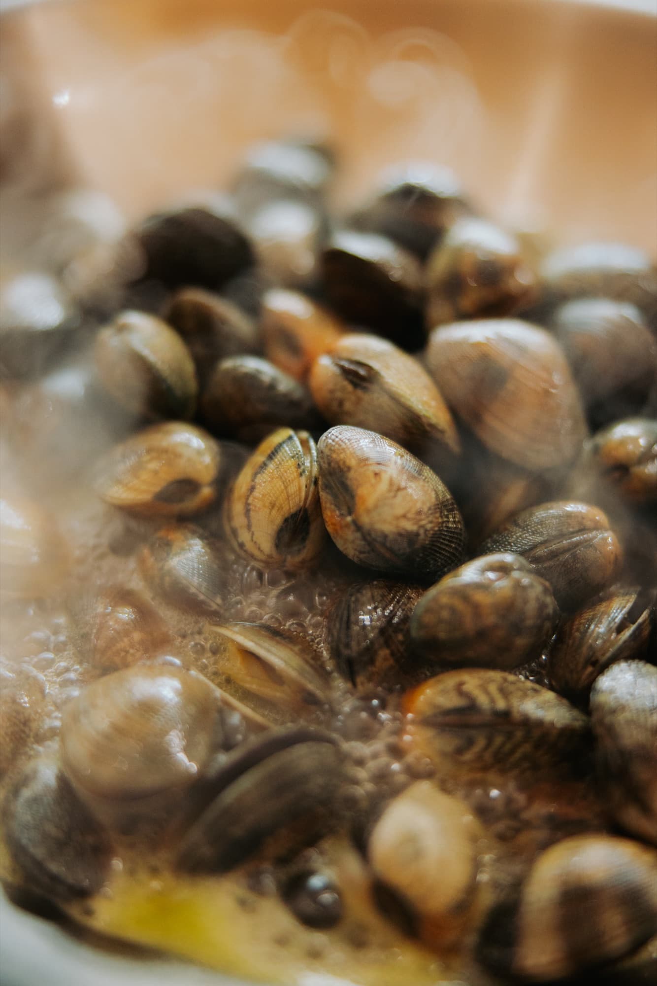 Frische Muscheln garen dampfend in einer Pfanne
