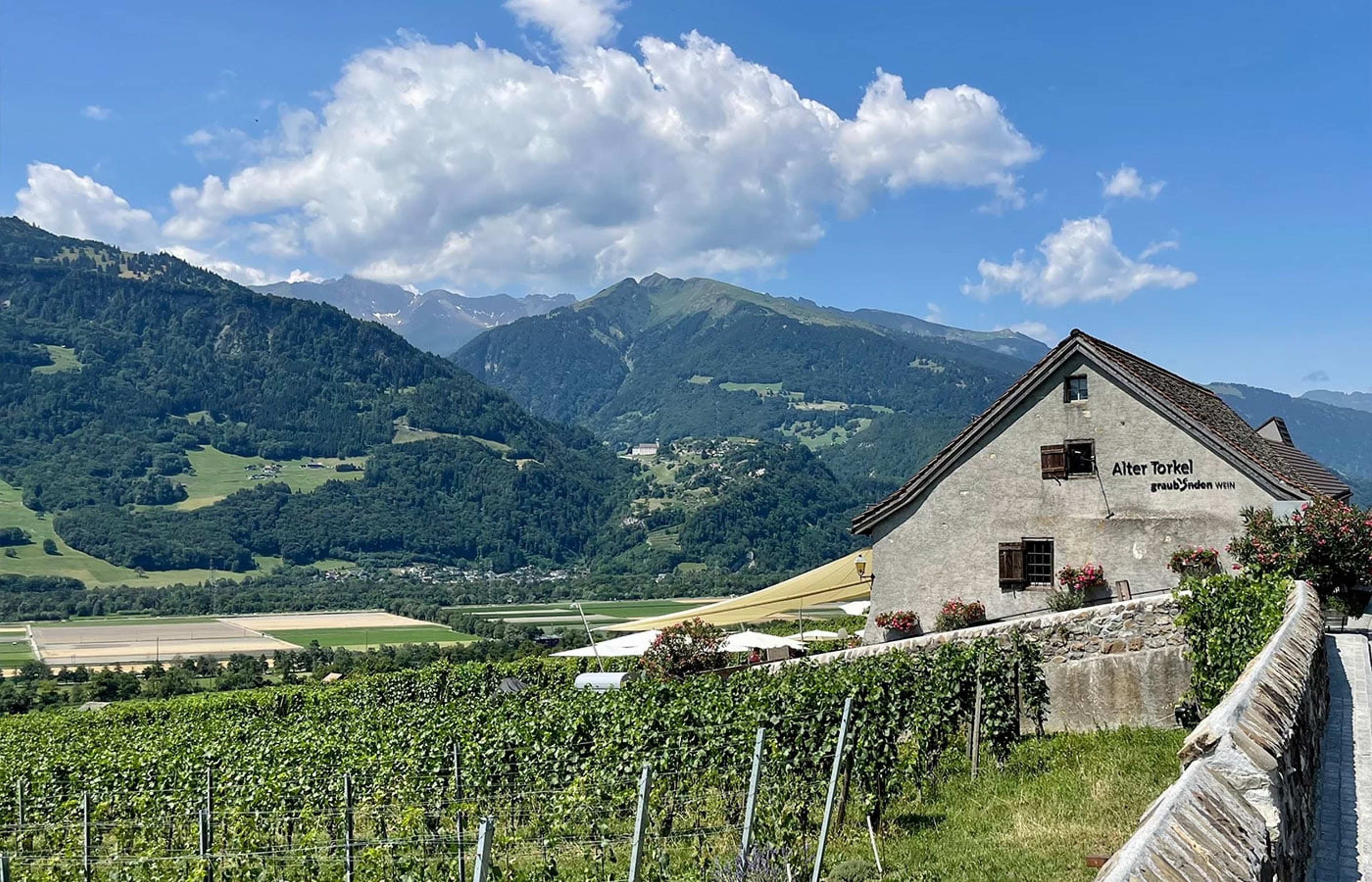 Altes Steinhaus mit Schriftzug zwischen Weinbergen, dahinter grüne Berge