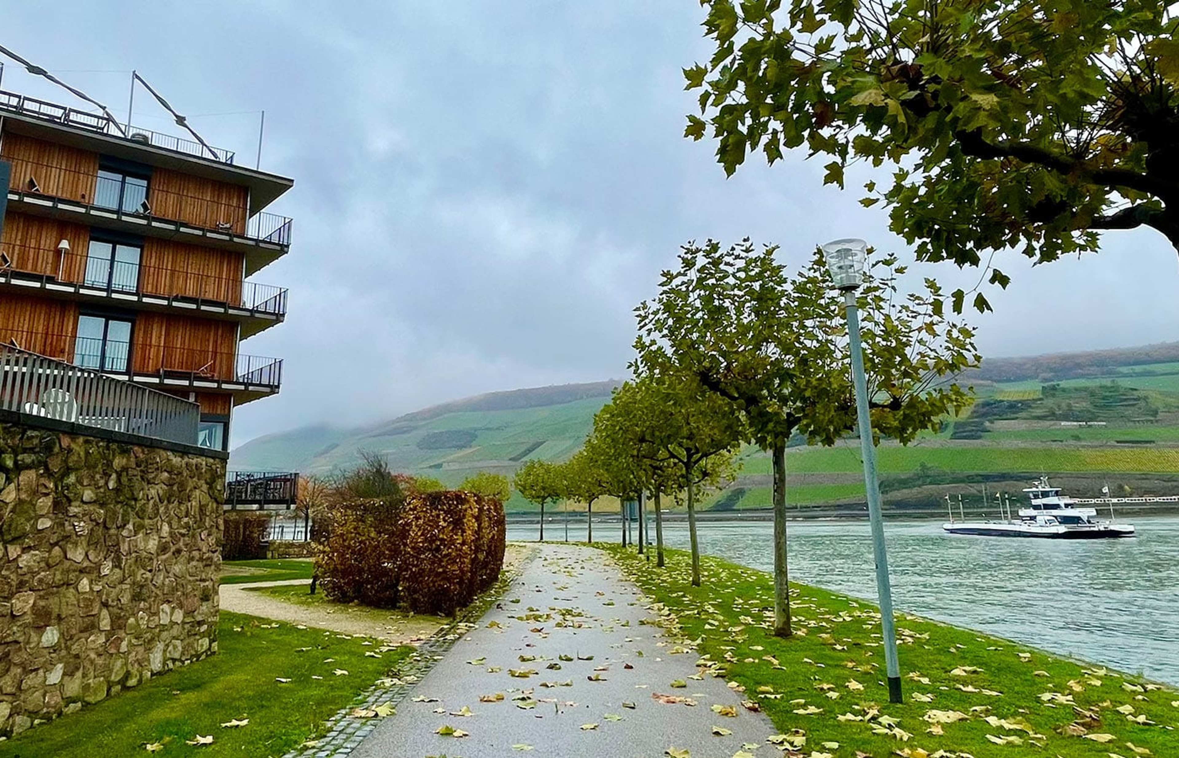 Foto zum Beitrag „Papa Rhein“