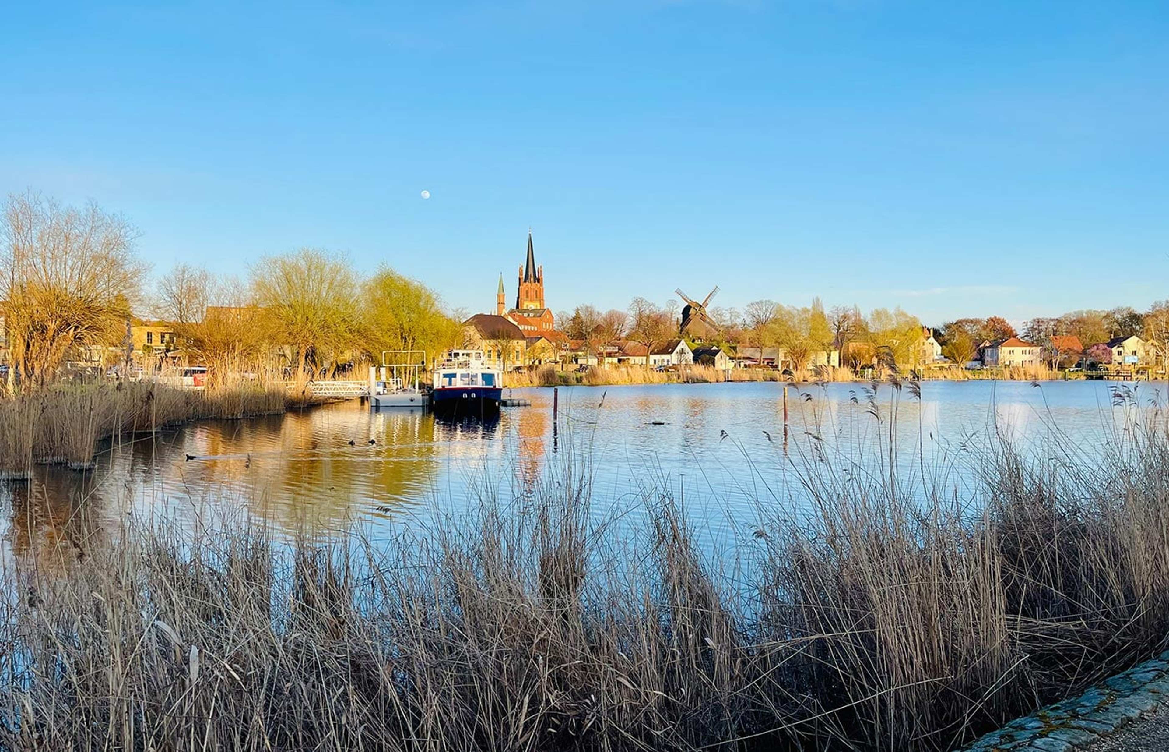 Schilfufer an einem See, dahinter Kirchturm und Windmühle