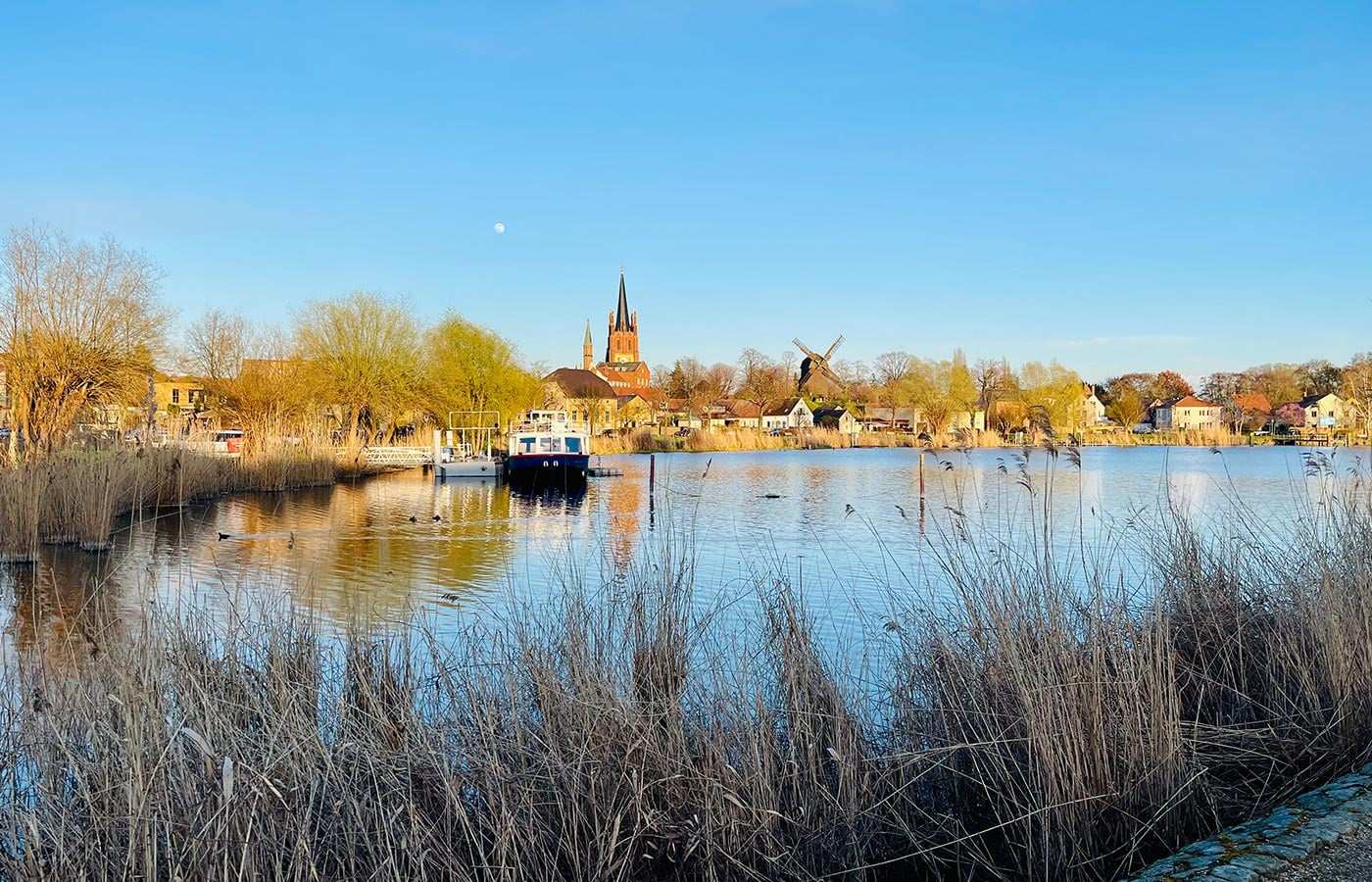 Schilfufer an einem See, dahinter Kirchturm und Windmühle
