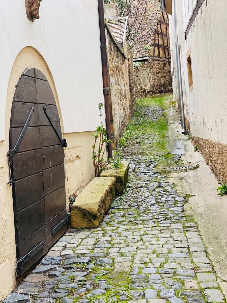 Foto zum Beitrag „Wieder mal in der Pfalz“