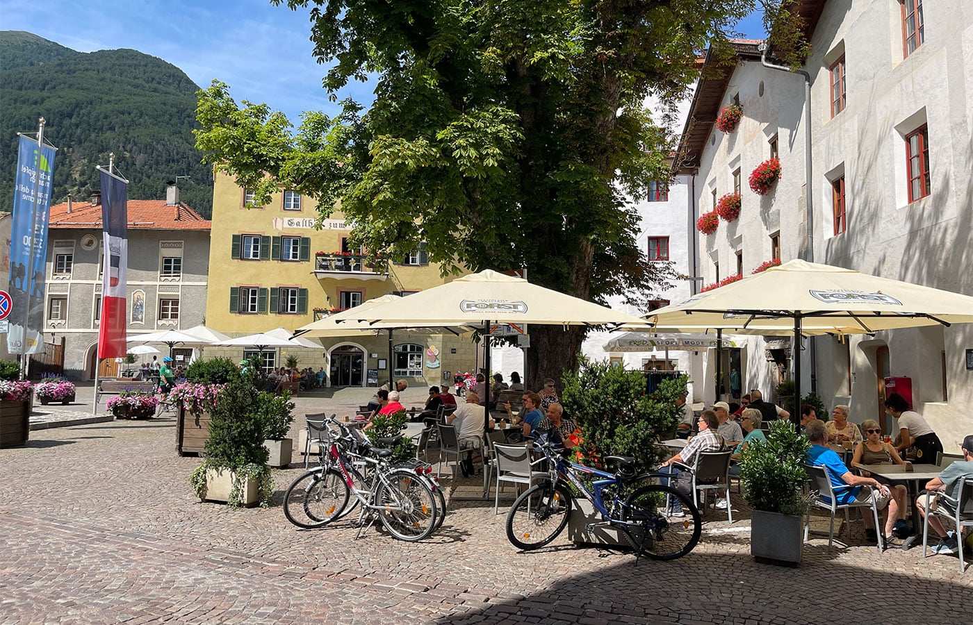Platz mit Sonnenschirmen, Fahrrädern und einem großen Baum vor alten Häusern
