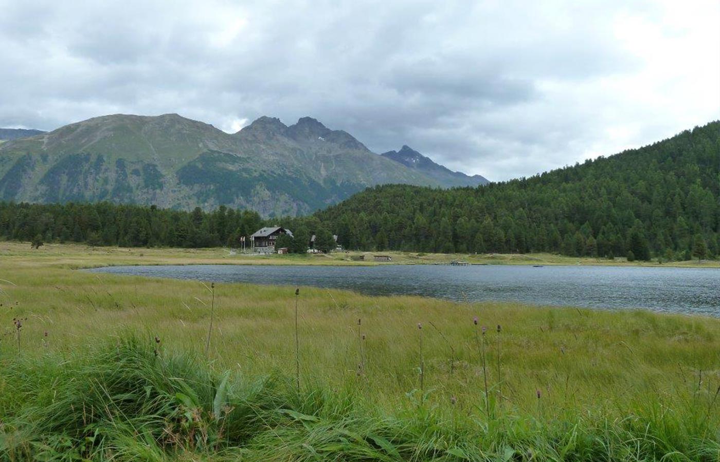 Holstein-Blog-Sankt-Moritz-Header