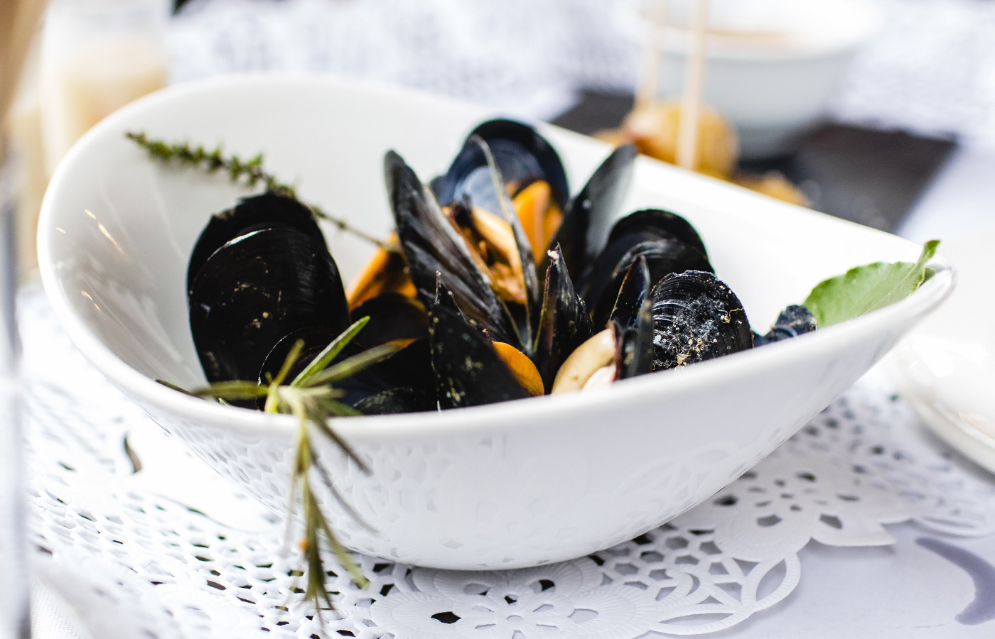 Holstein-Veranstaltung-Muschelfestival-1